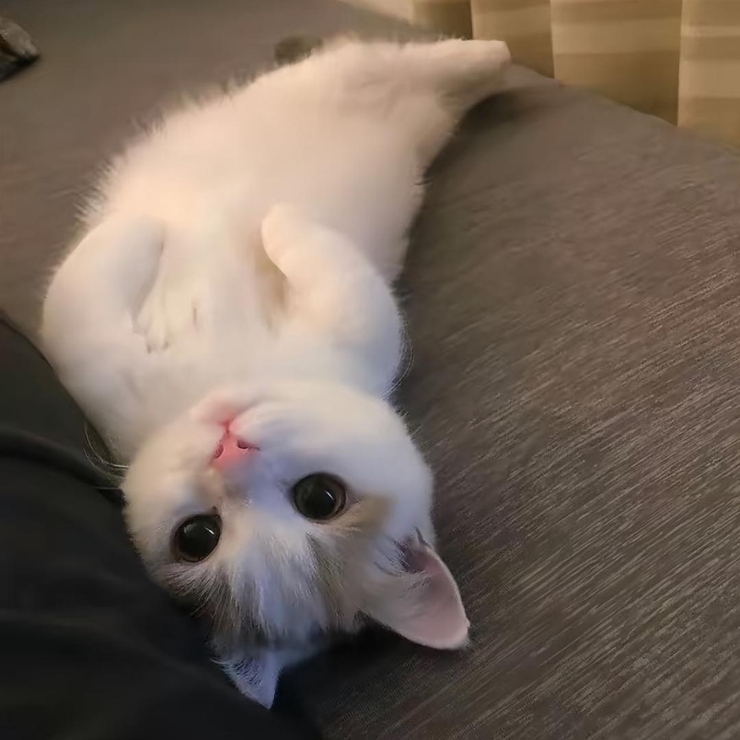 清净