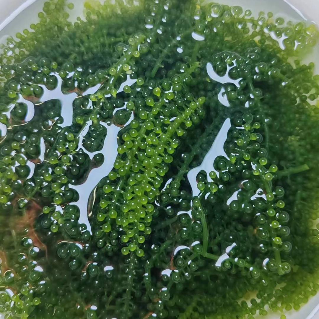 晴儿馋了