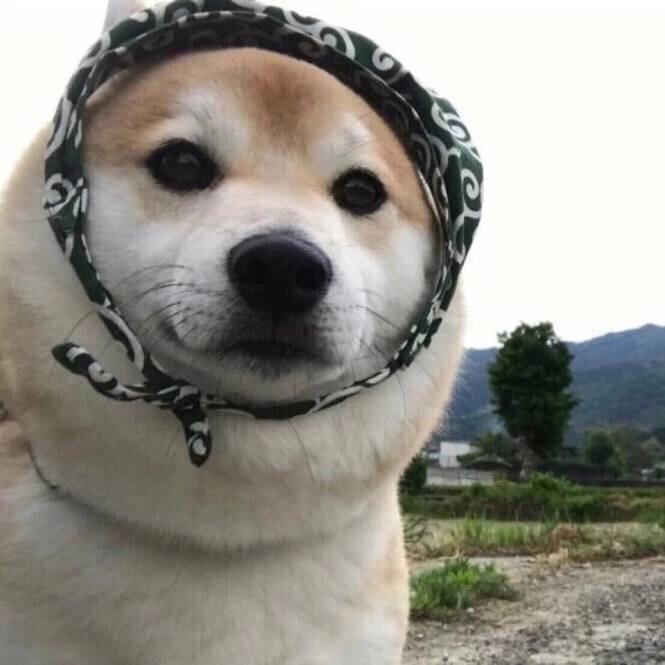 你好i