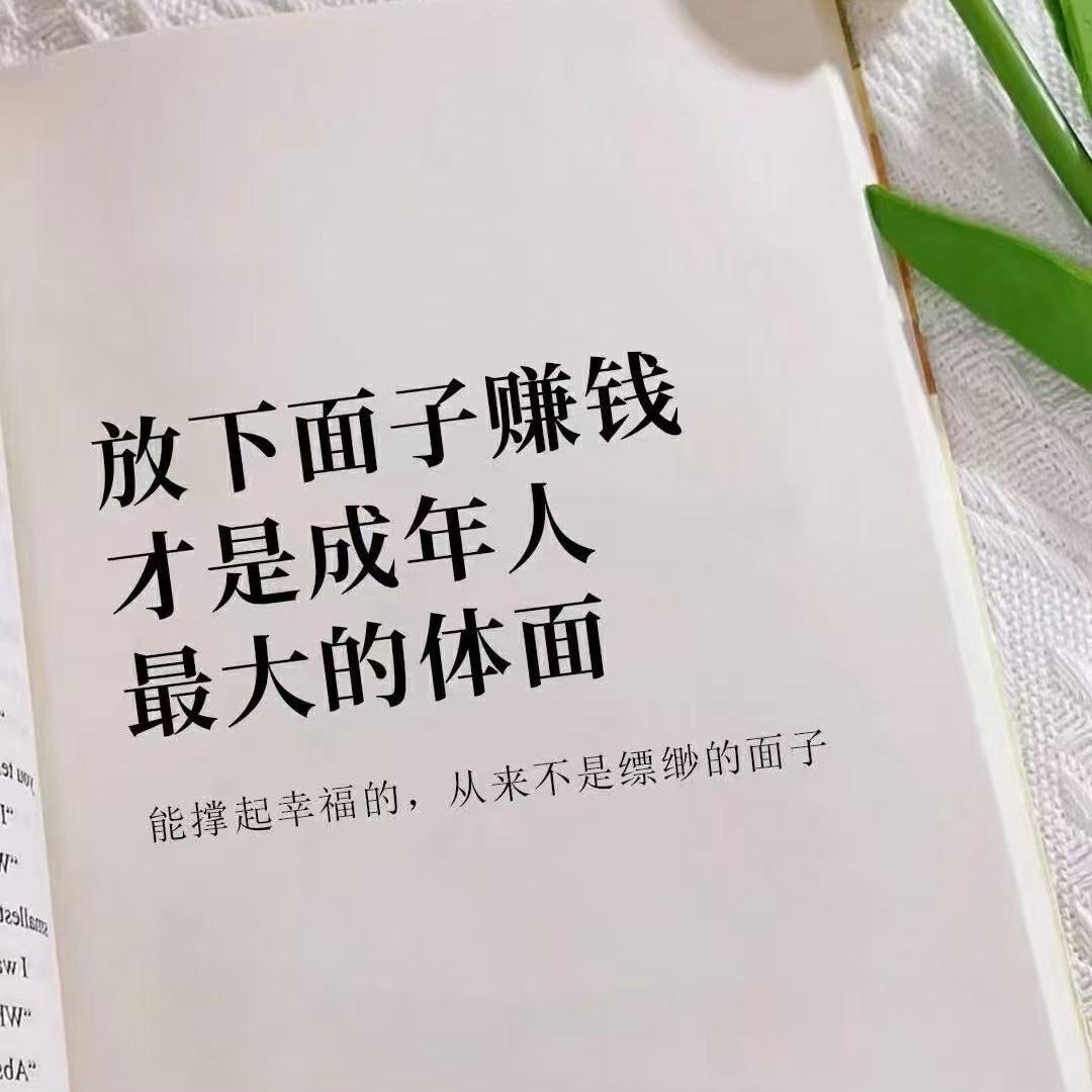 阜阳大鹏聊电商