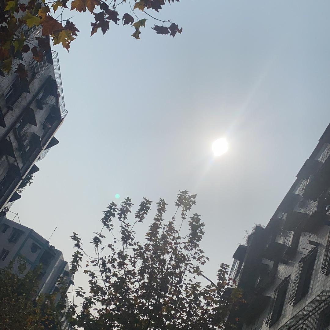 卑微的爱。