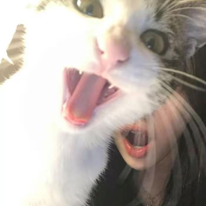 只跟我一个人玩吧