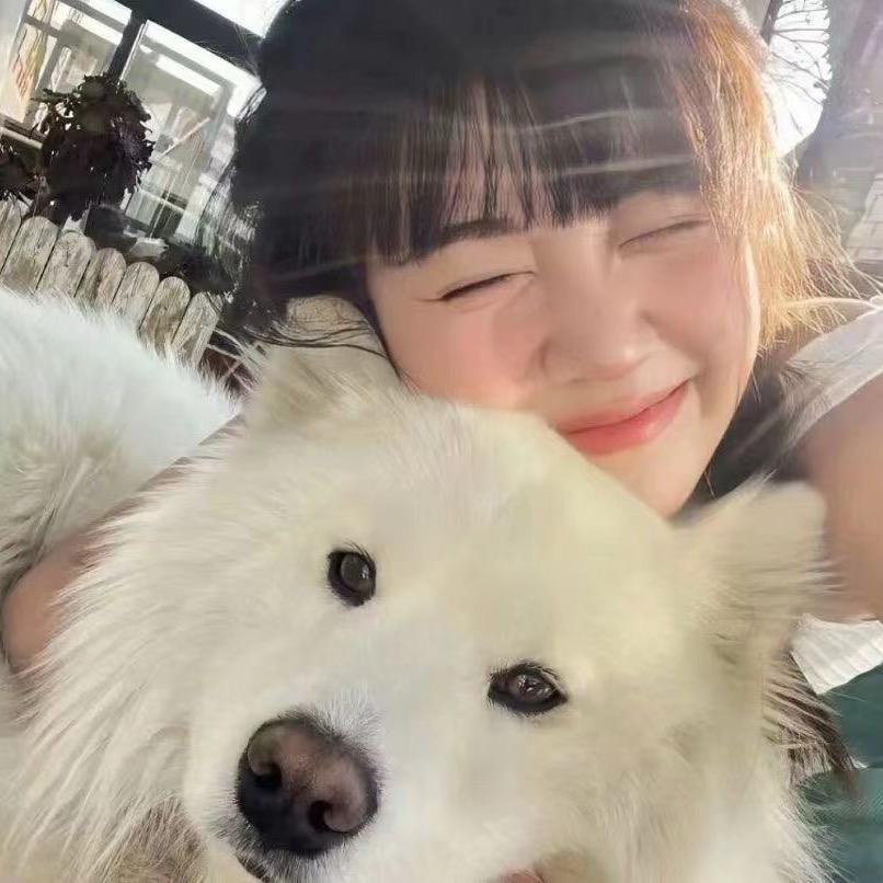 沈越越