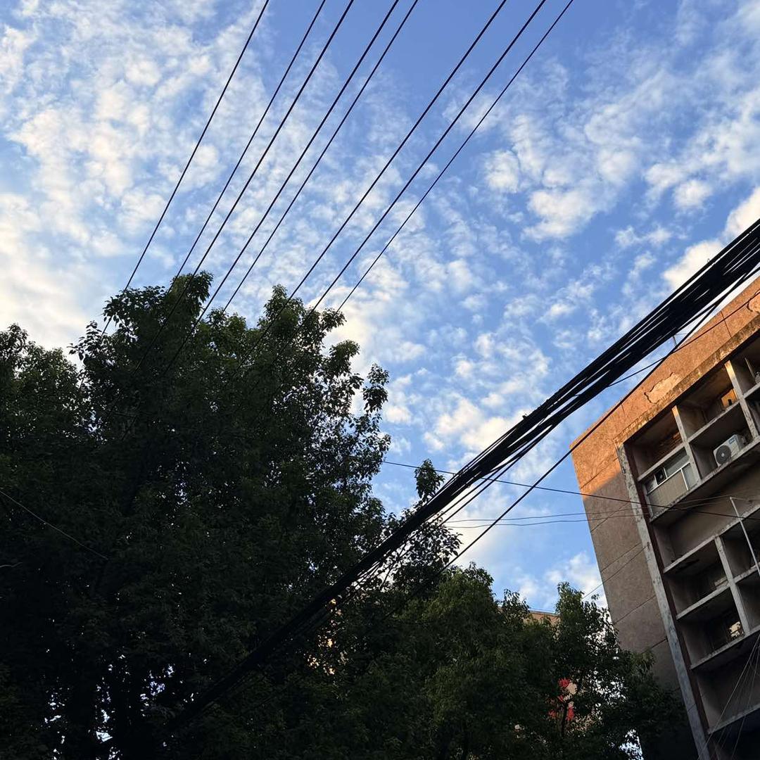 池绿绿