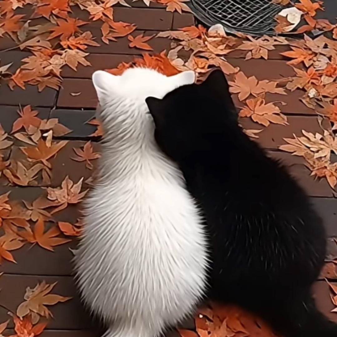 风雨无阻，天天烧烤