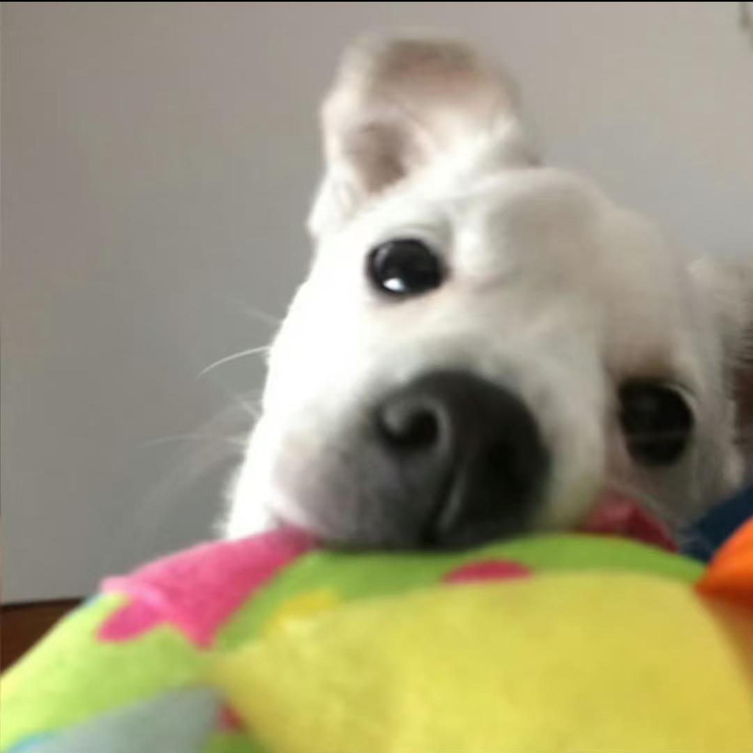 casey