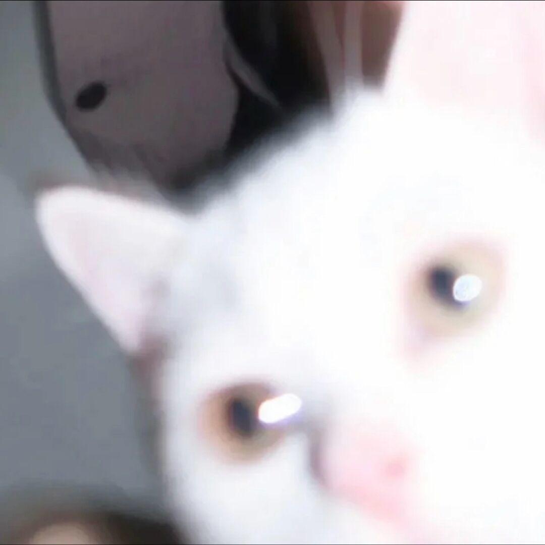 axi