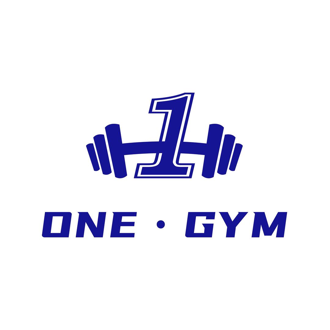 OneGym大型工作室、铁馆