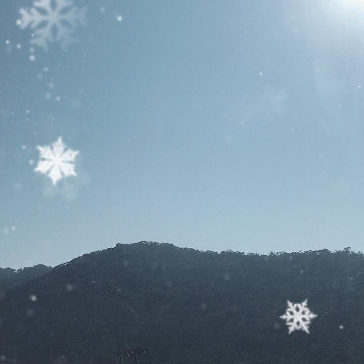 天马星优选
