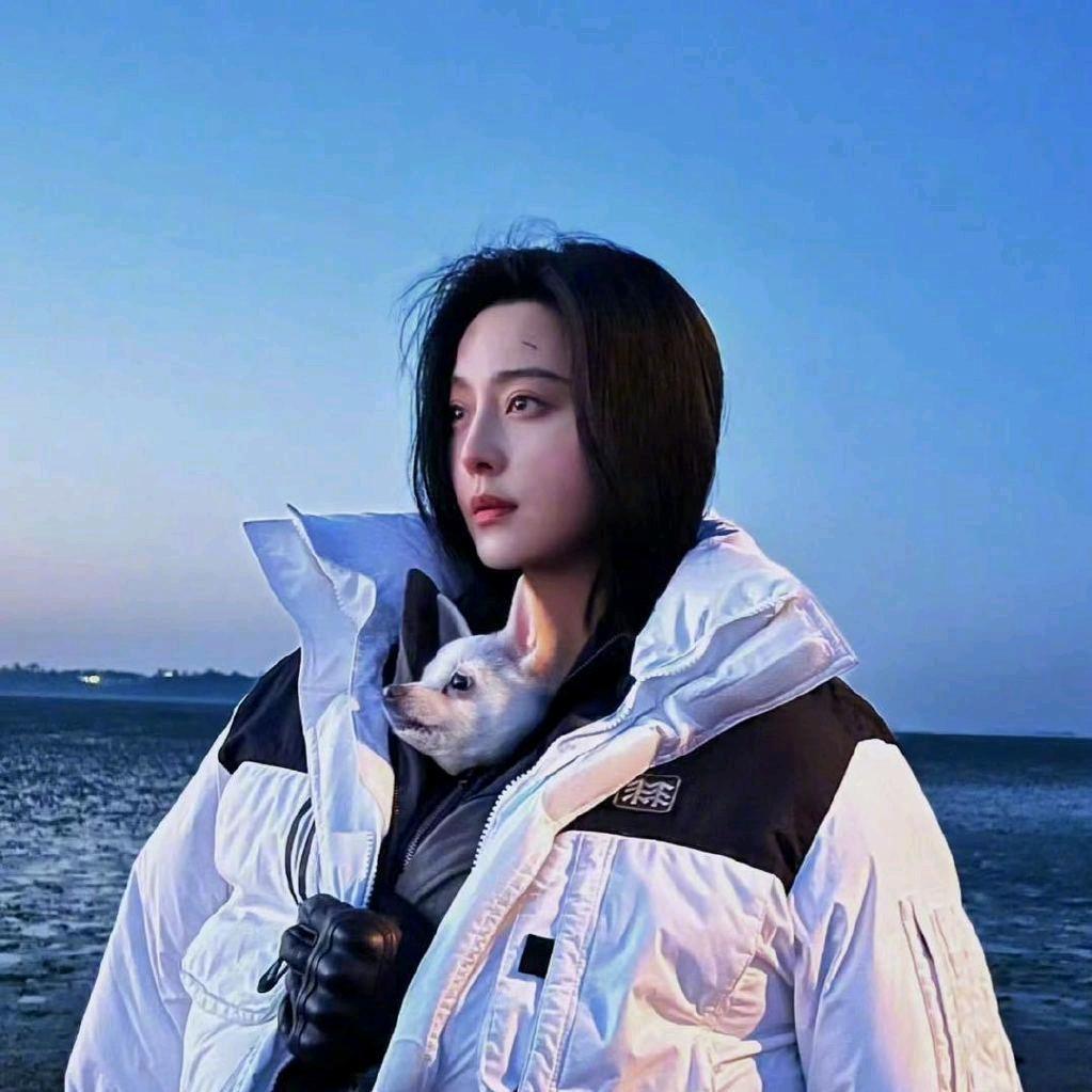 一片海苔pu