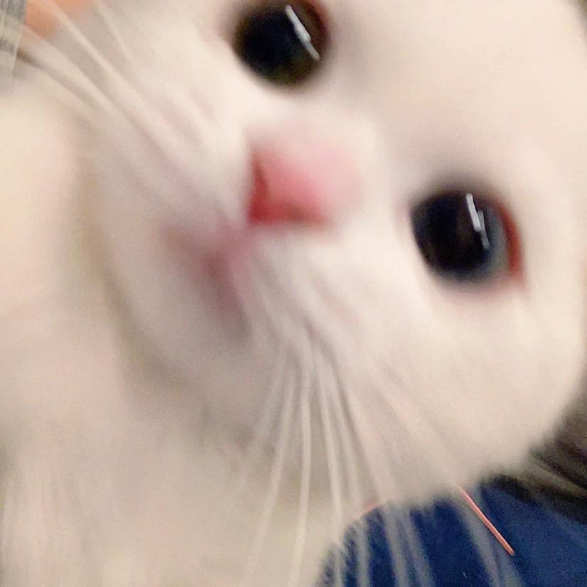 9非九