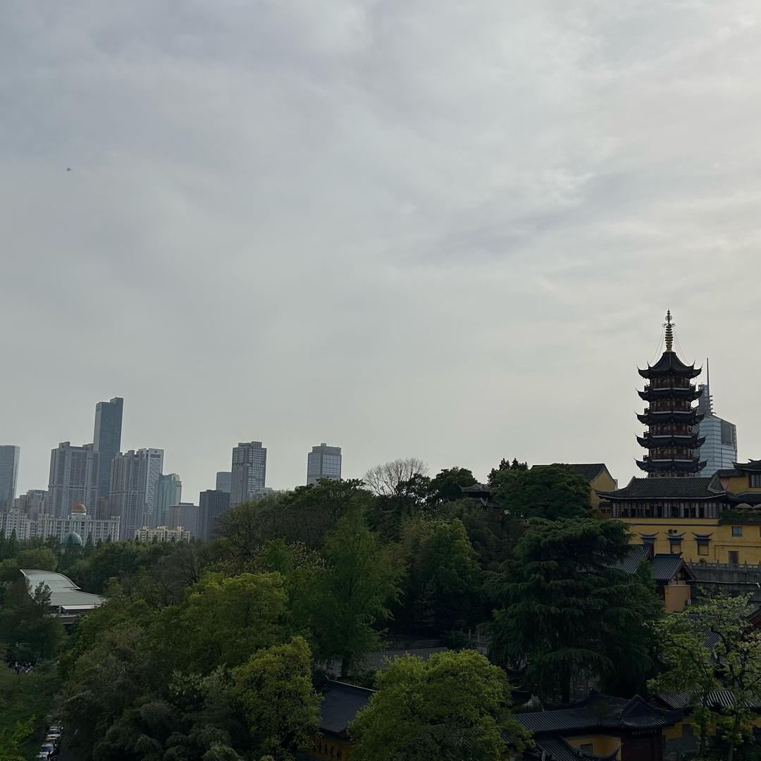 南京众包仔⚡️