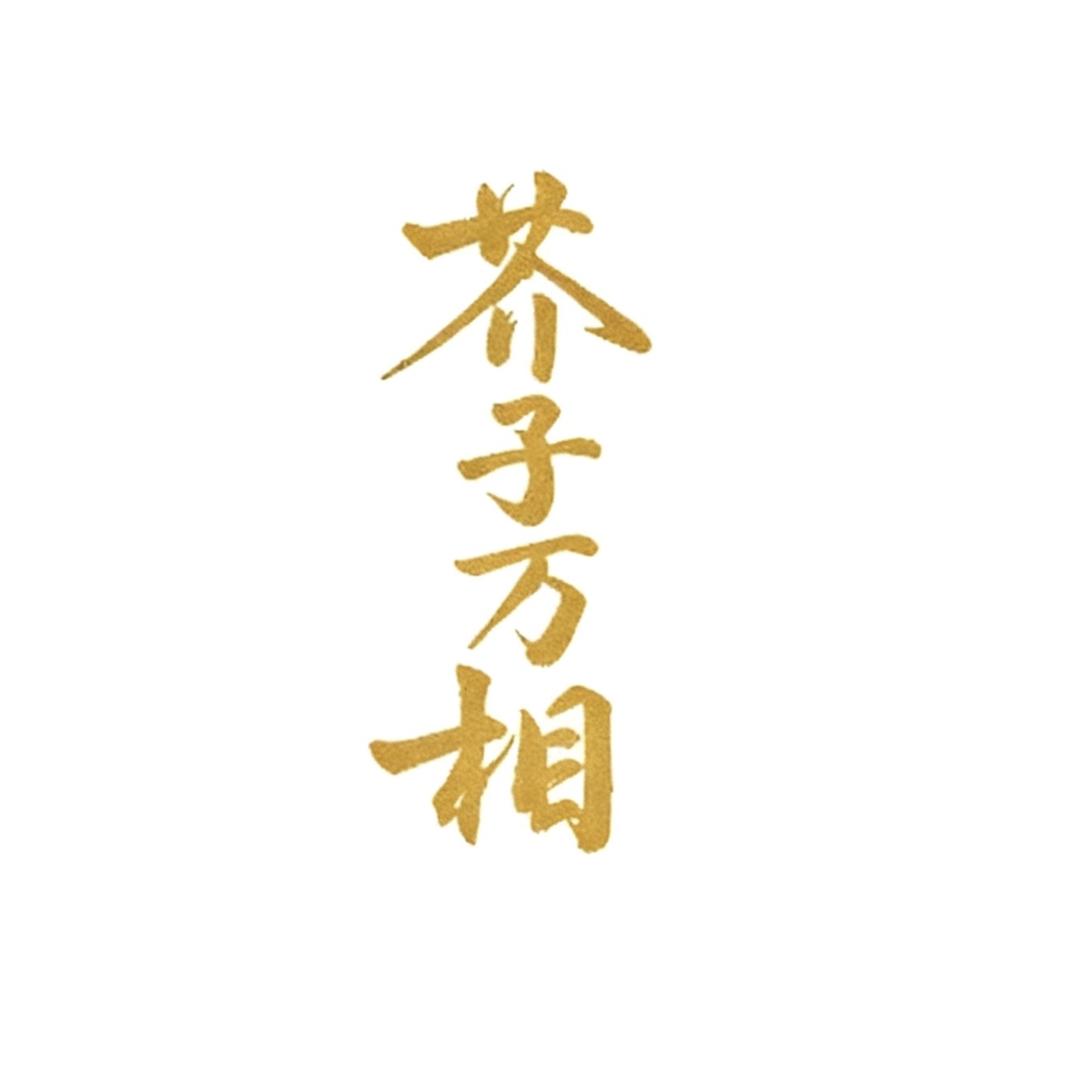 芥子万相空间美学
