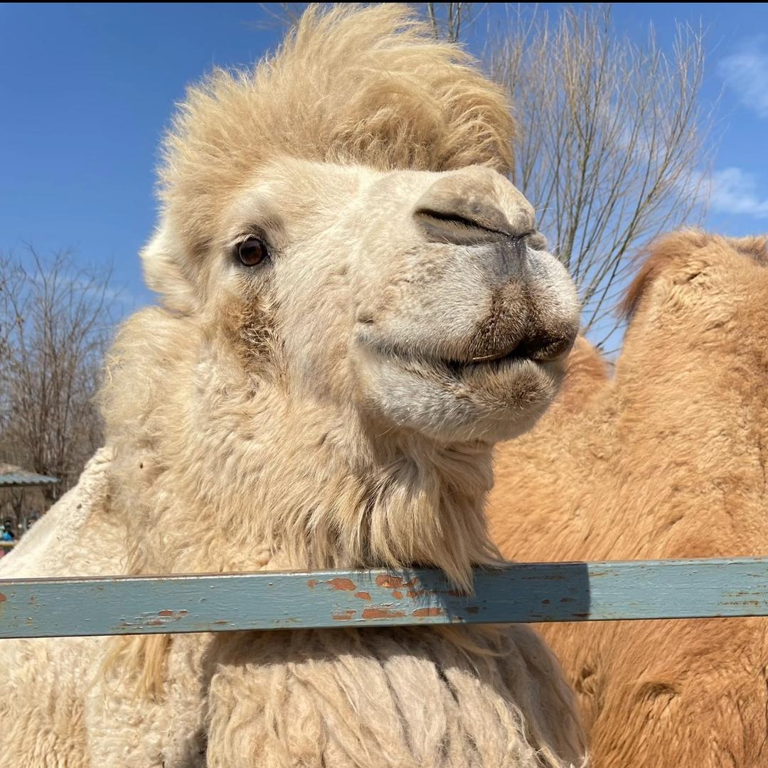 敦煌网百事通1号