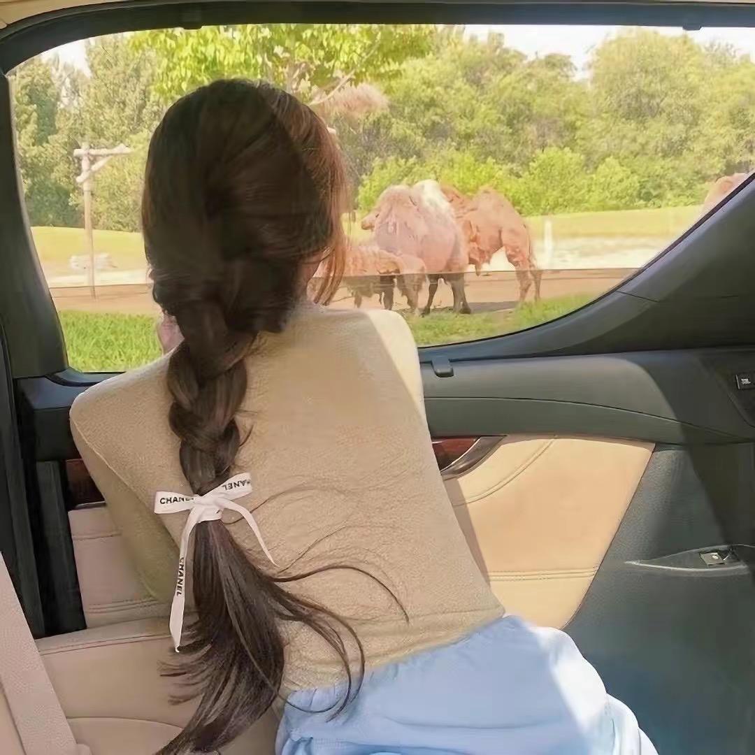 H.✨