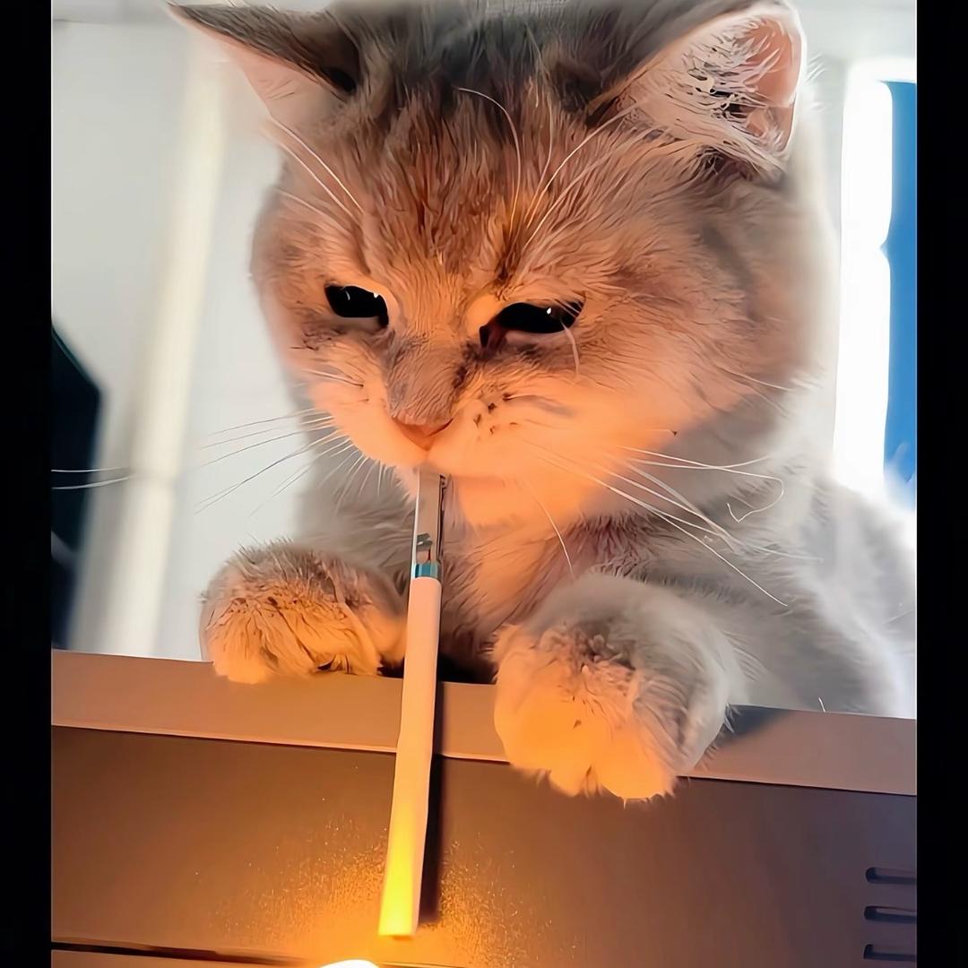 她和卡莎一样美！