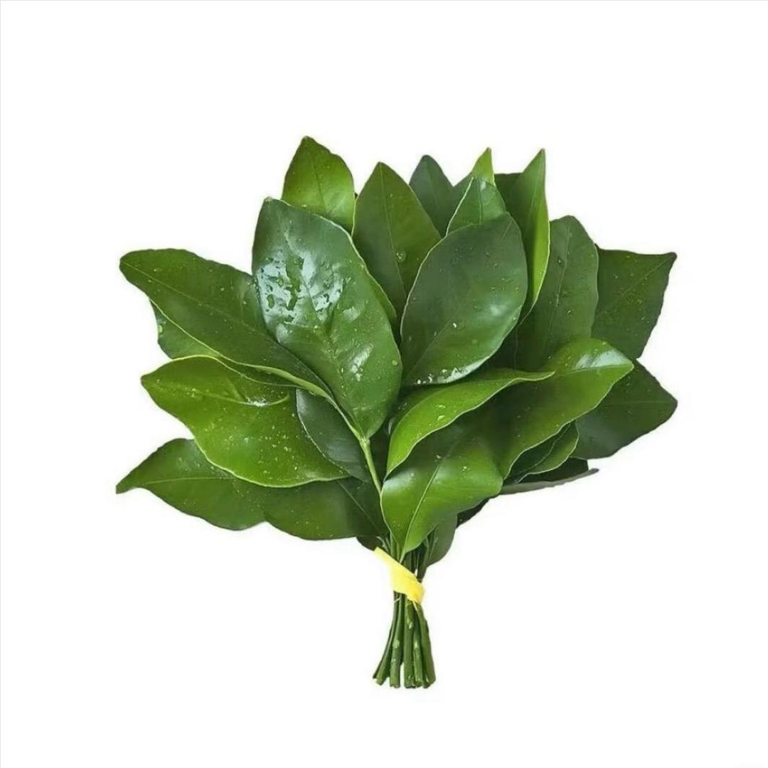 听你说