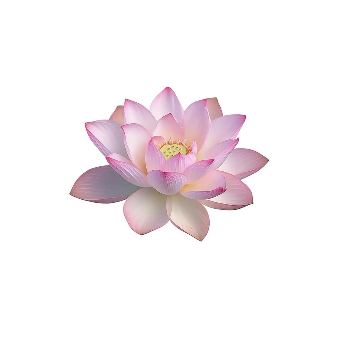 用户00