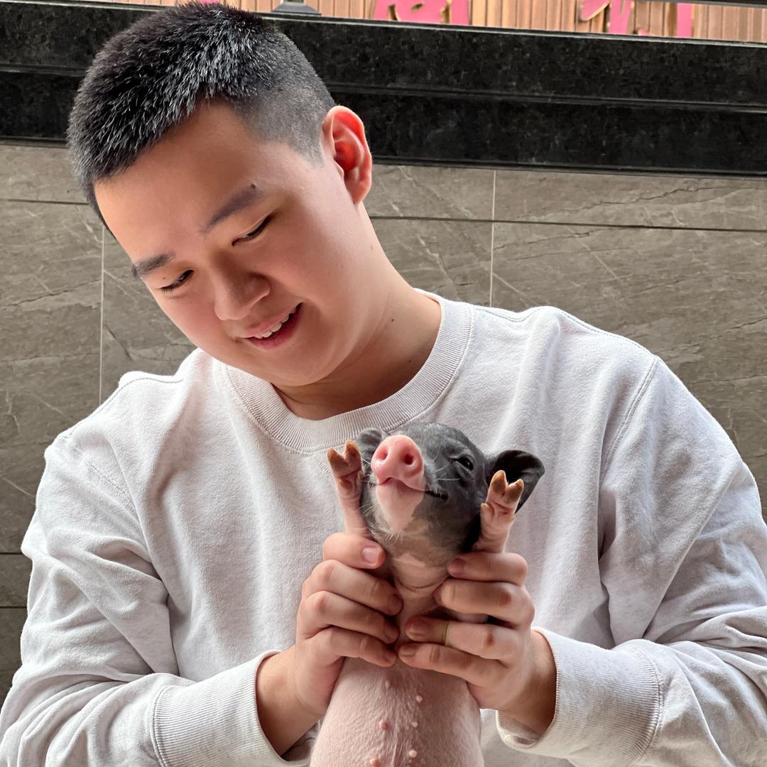 二肥只做猪羊