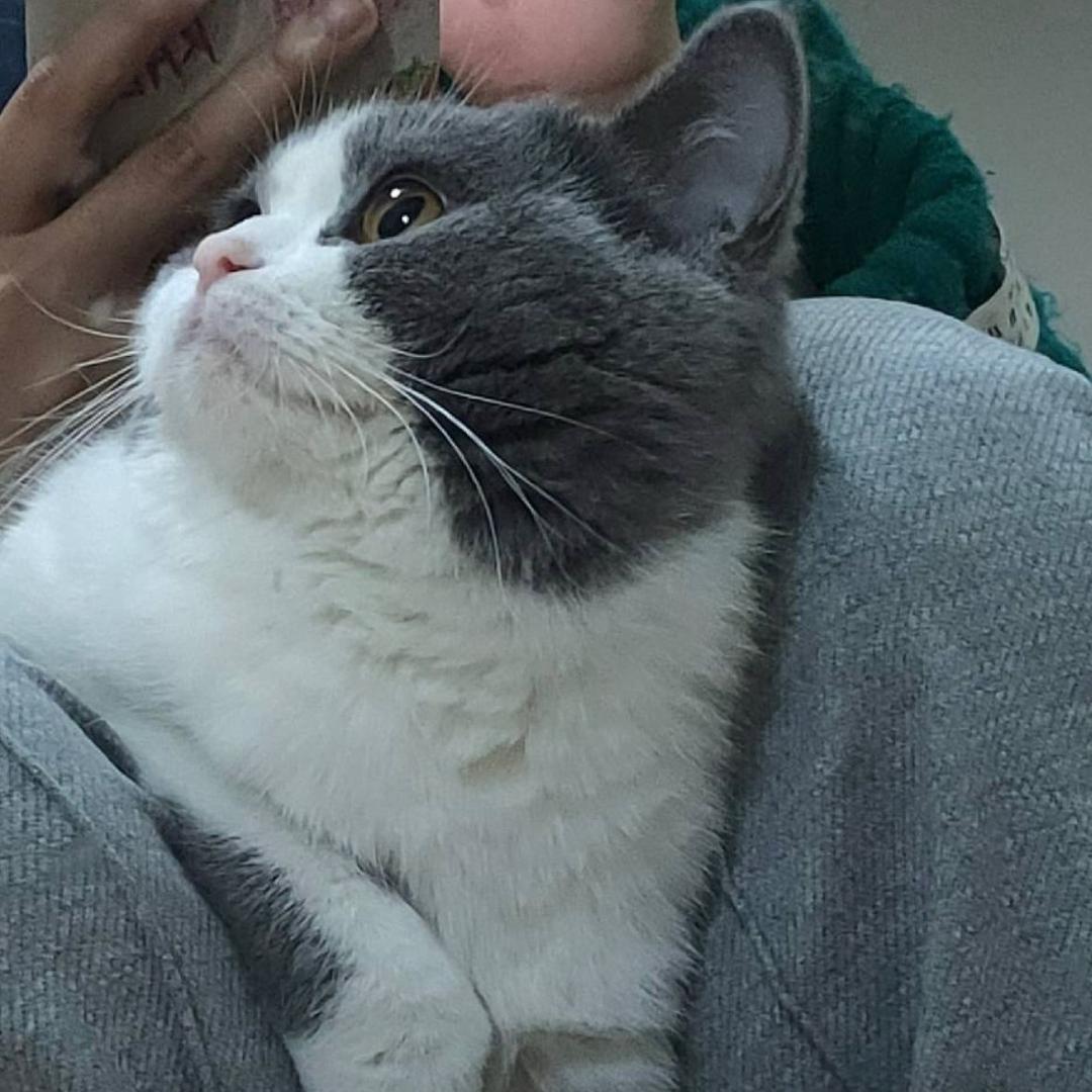 长矛粘屎戳谁谁死