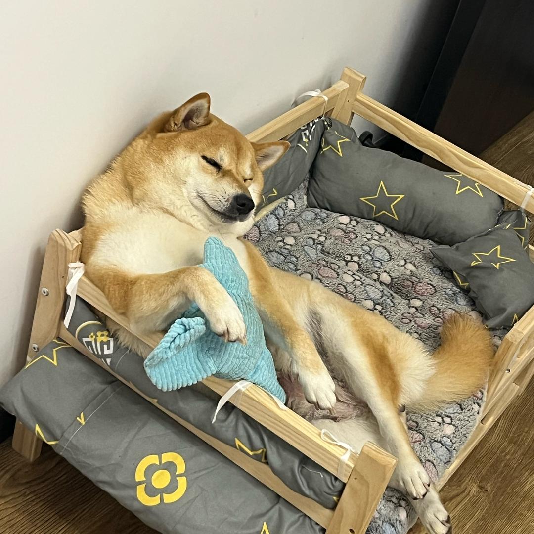 天兵阁的晴格格头像