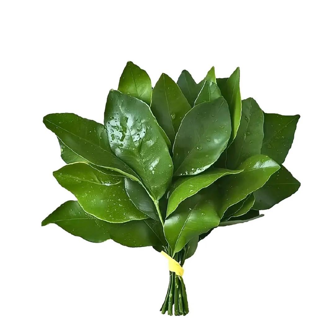 小黑小黄（熬夜赖床）