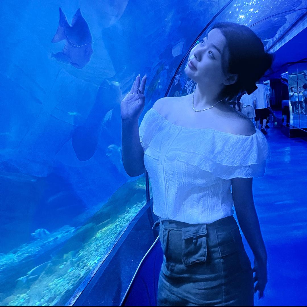 一个做柜子的梦雅