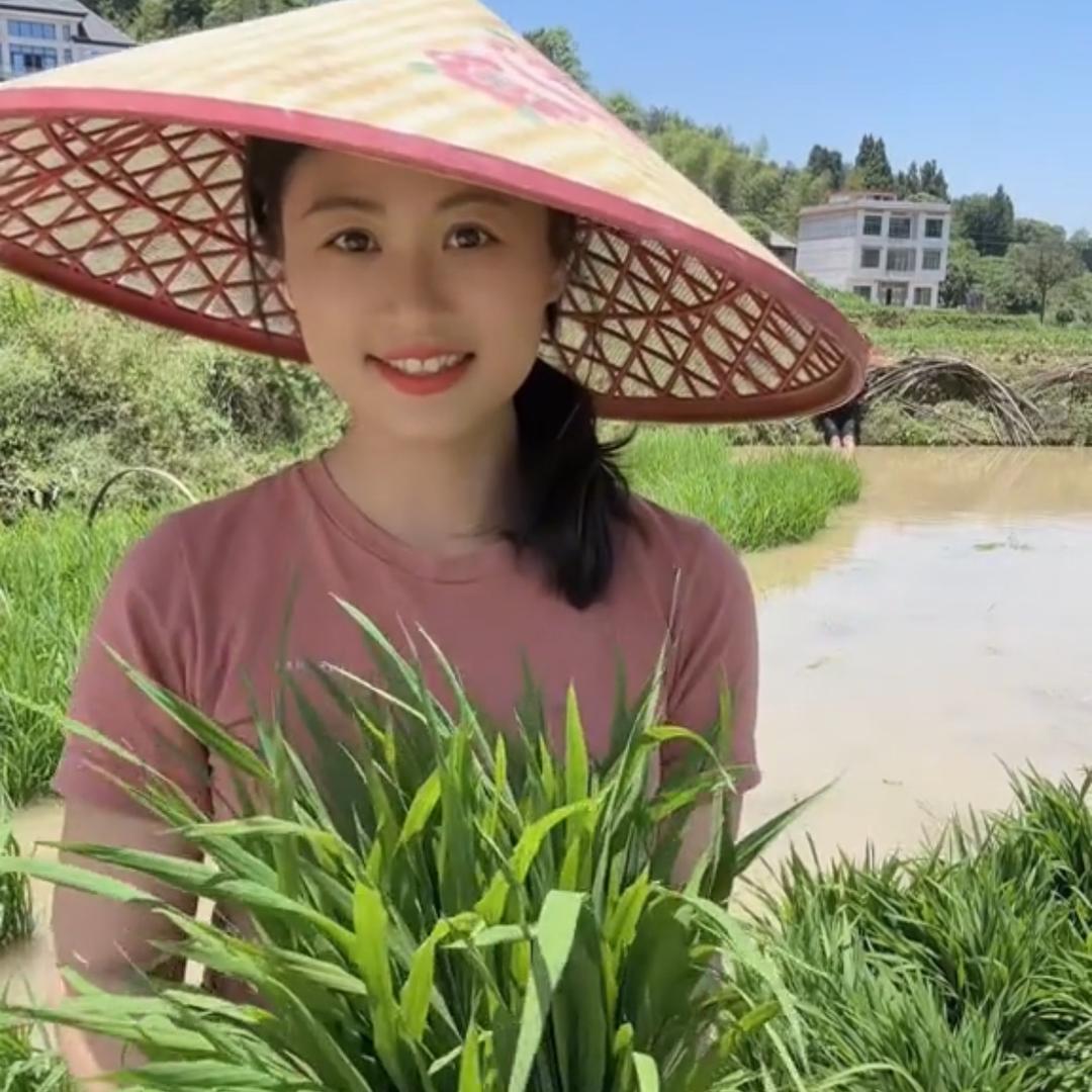 田园昭君@抖音