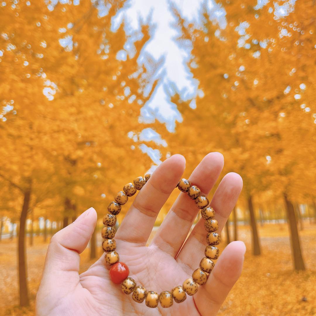 📷景緻生活