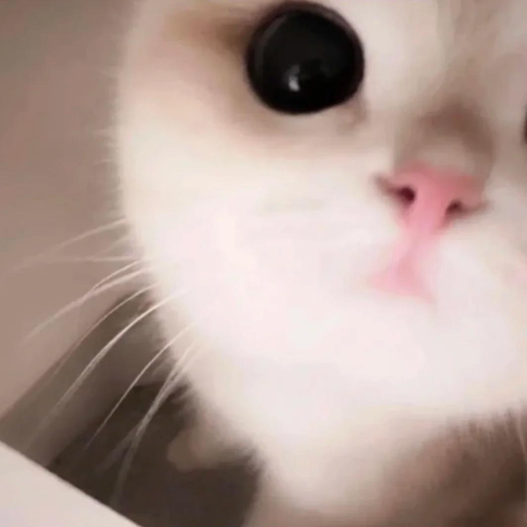 用户7471664886281663