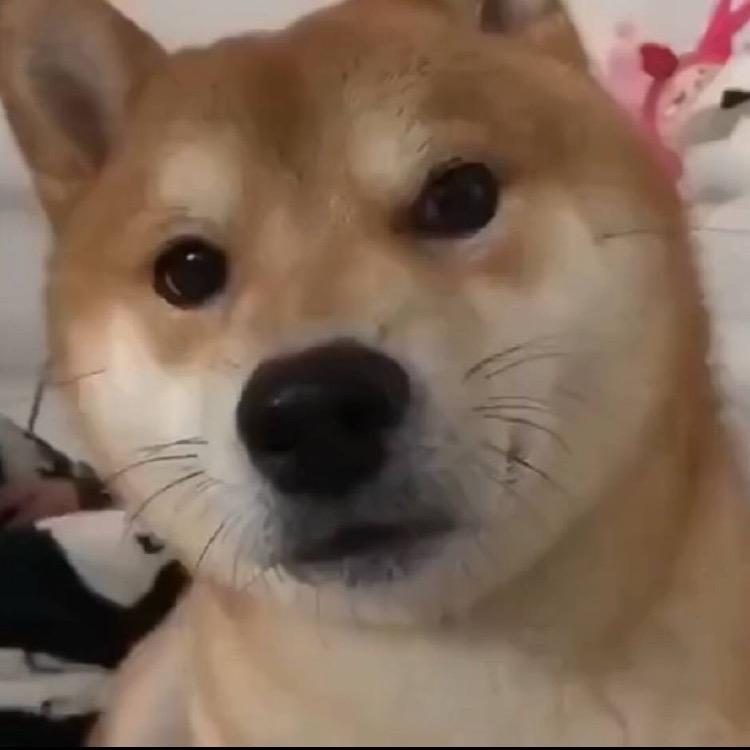 🍏