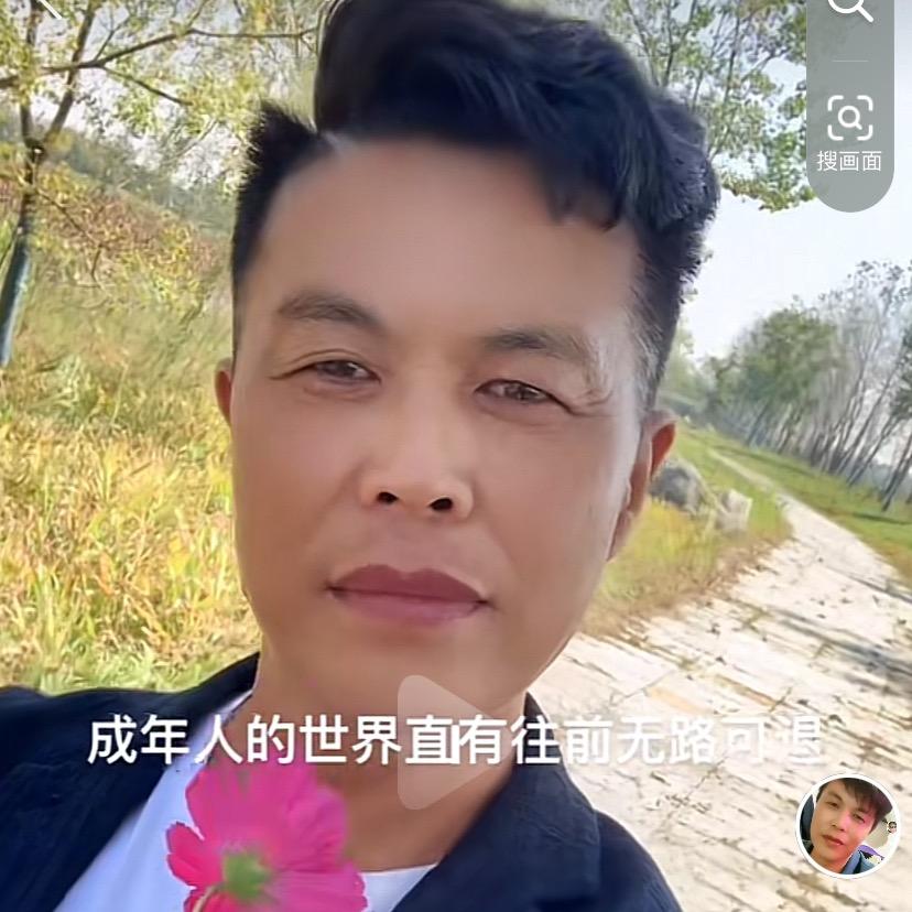 枝江小付歌茶叶