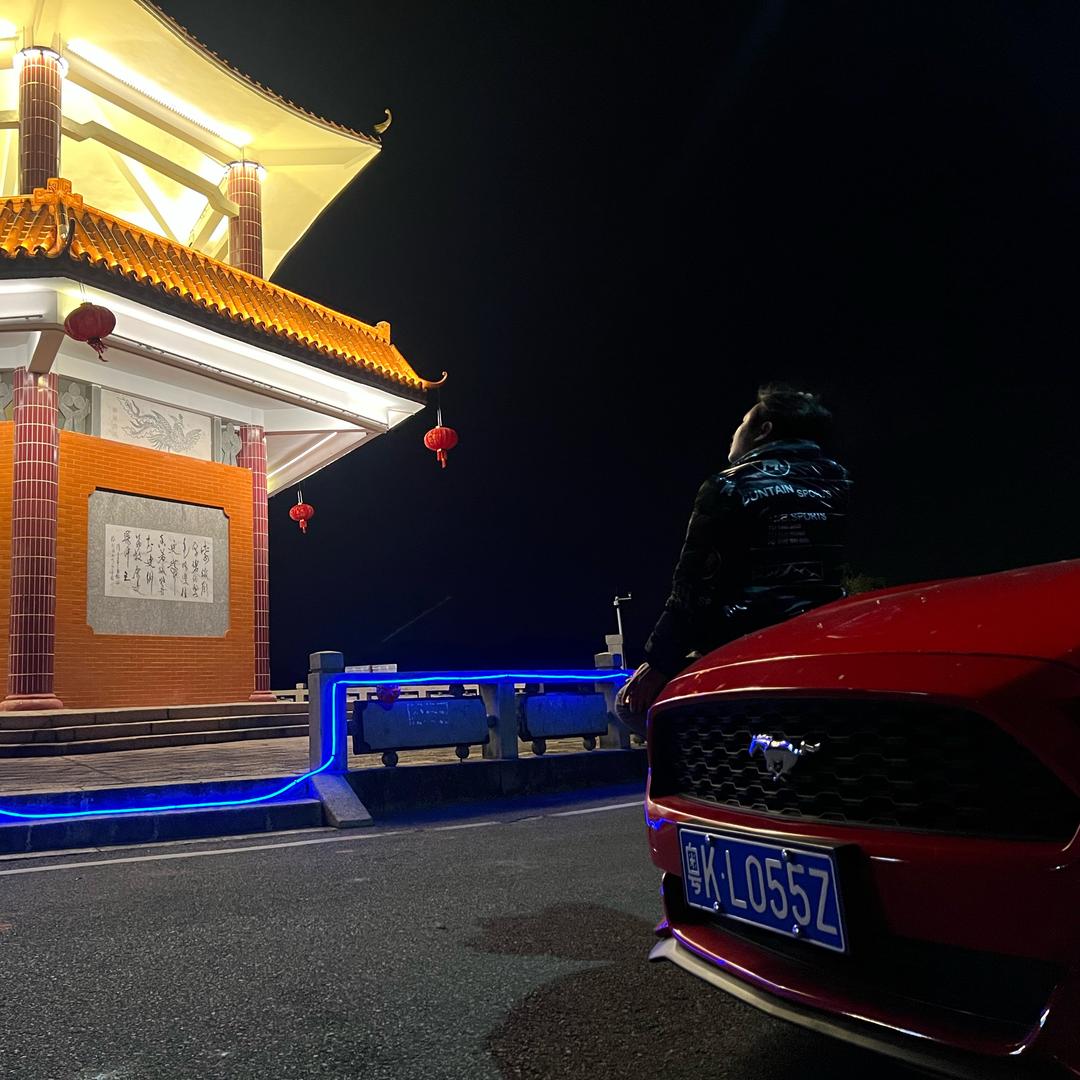一只杨