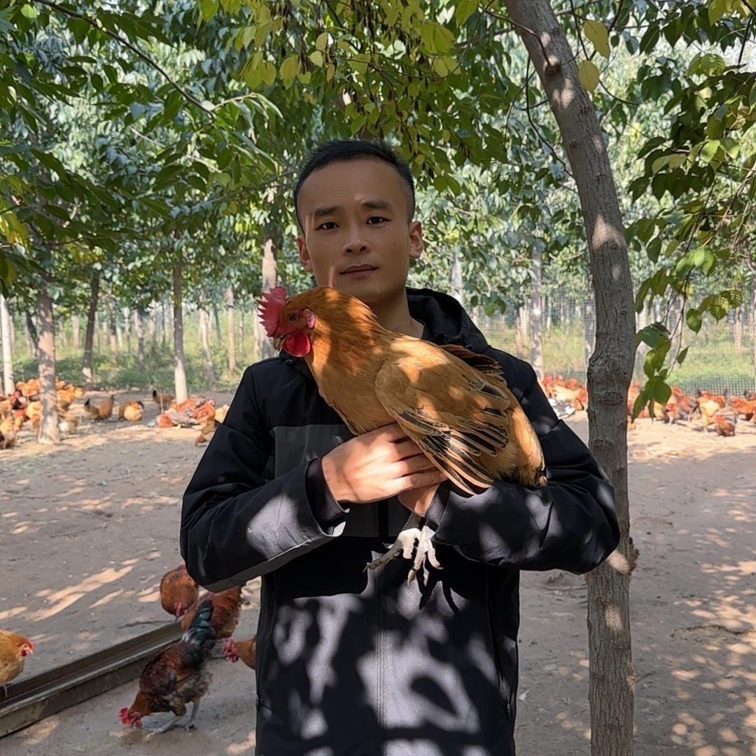 小飞农场