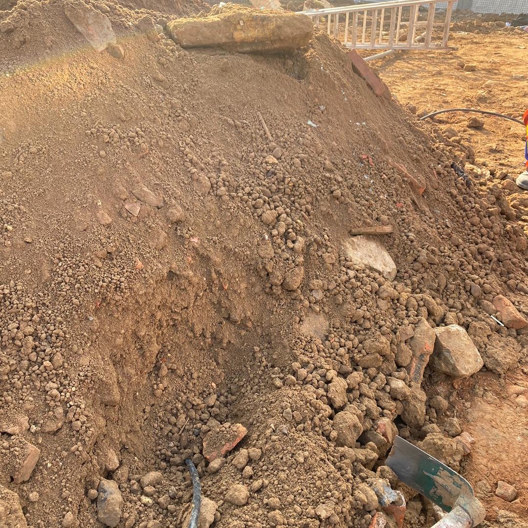 一个猴子的姐姐