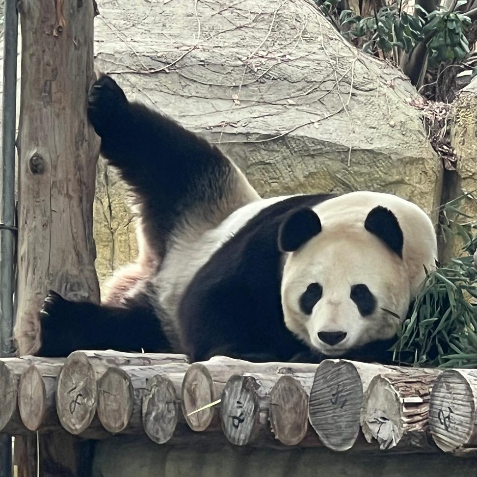 阳☀️☀☀️☀️光