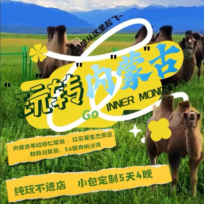 行知研学•草原沙漠定制游