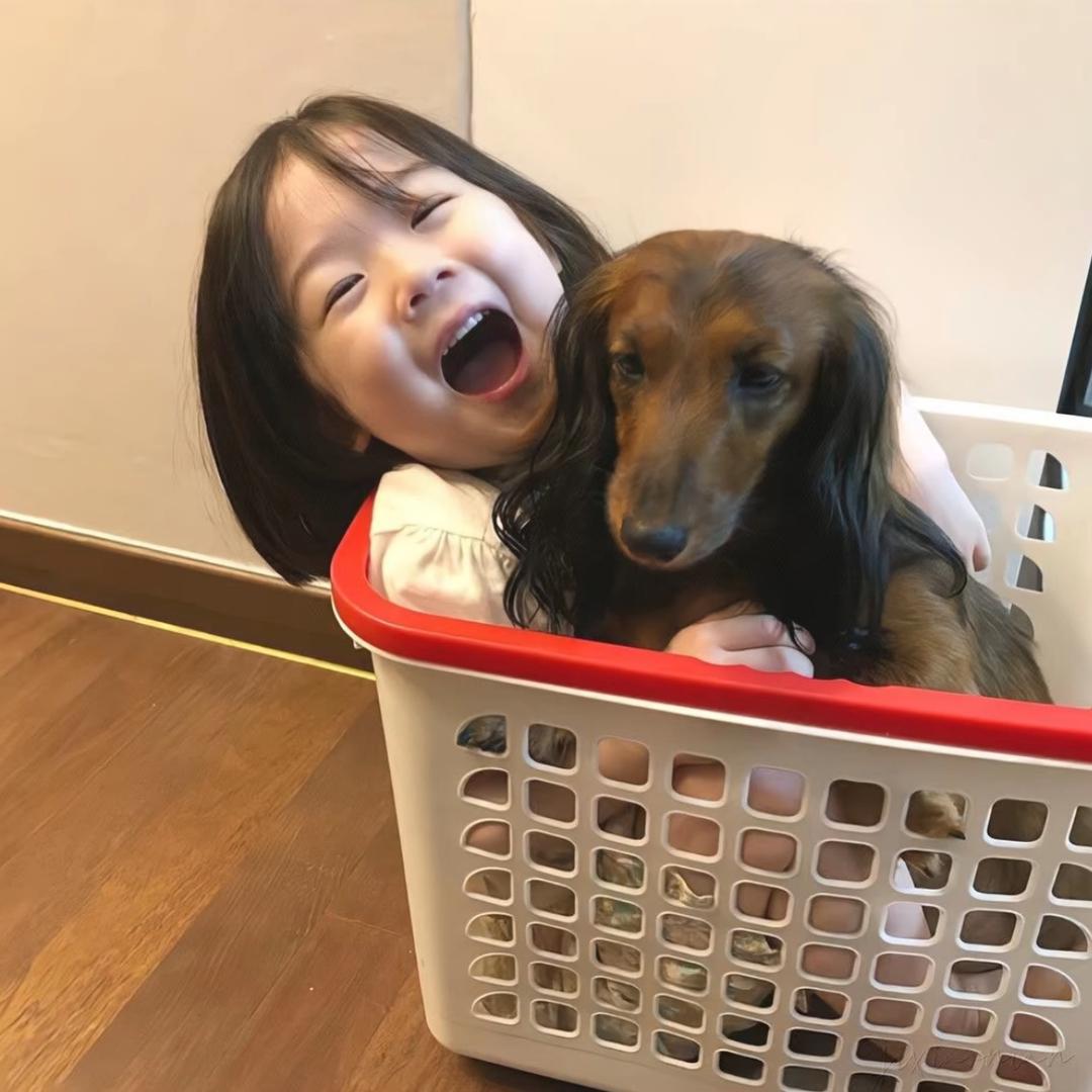 小怪兽