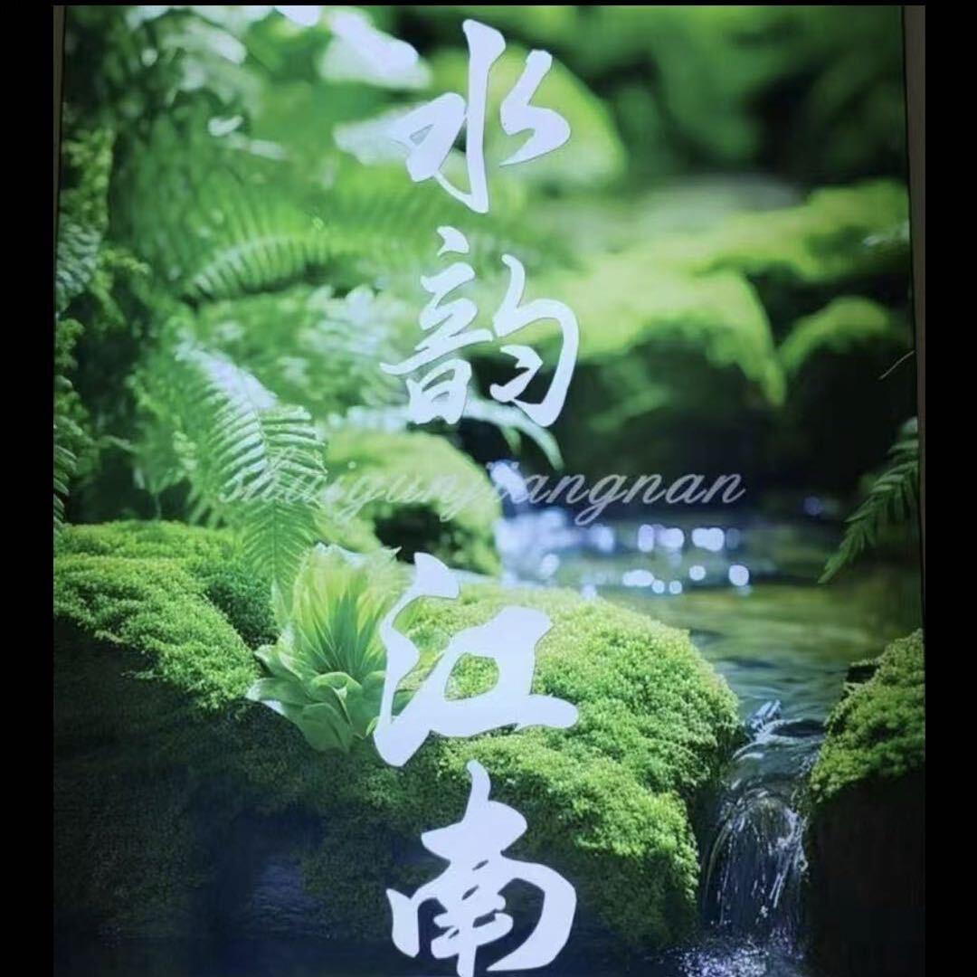 喵喵💛💙