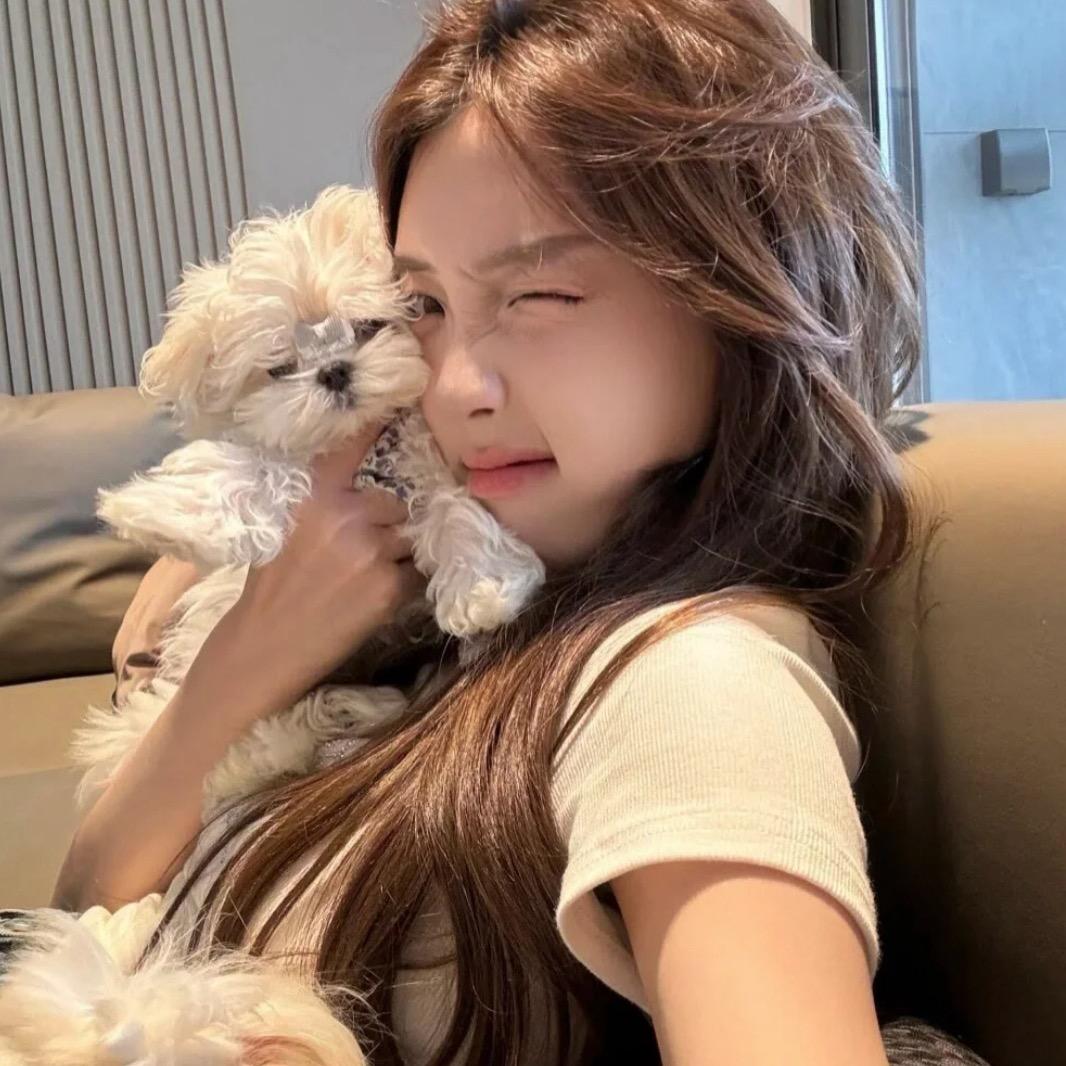 郑州 刘彦祖📷