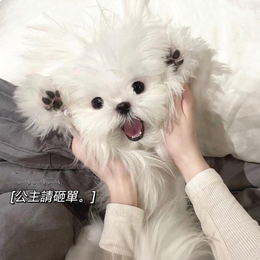闪月饰品集