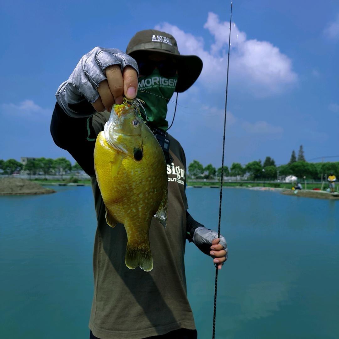 六王子鼎峰路亚M