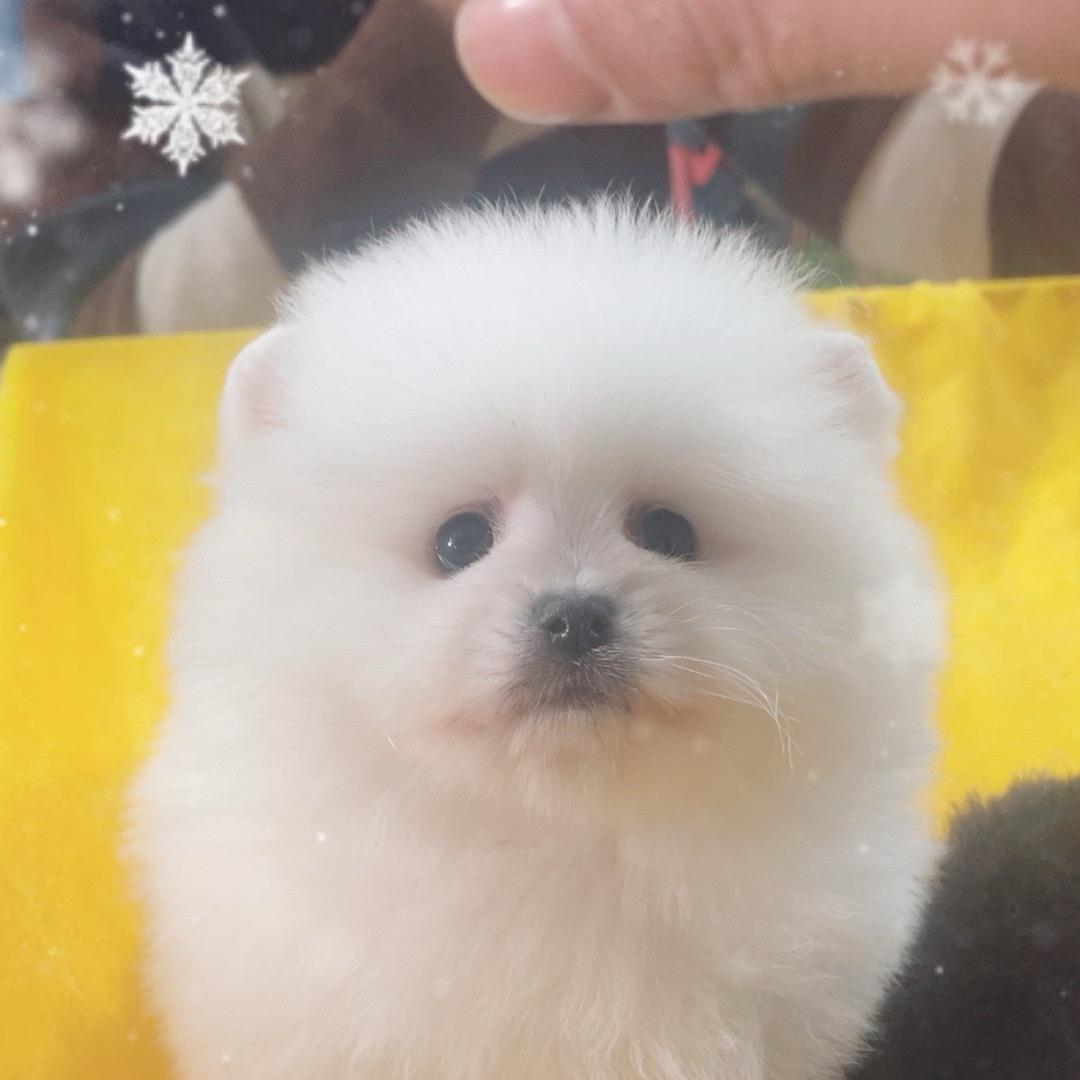 我是青青