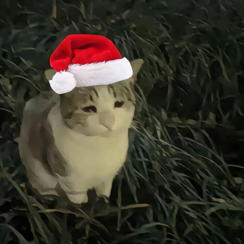 名字太长躲在树后会被发现