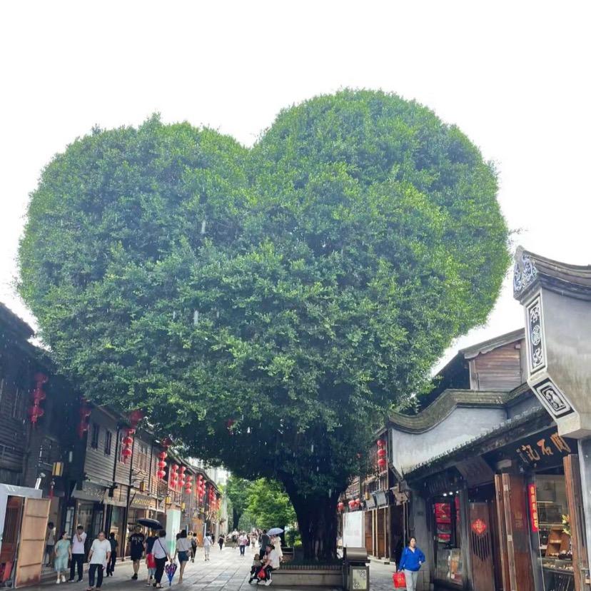 💦高不可潘🌟