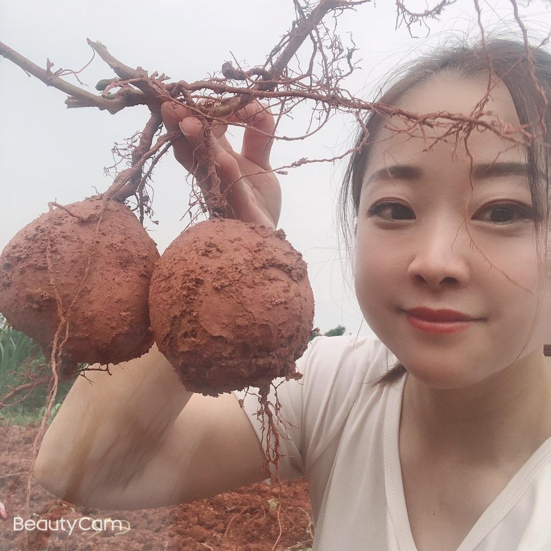 敏敏