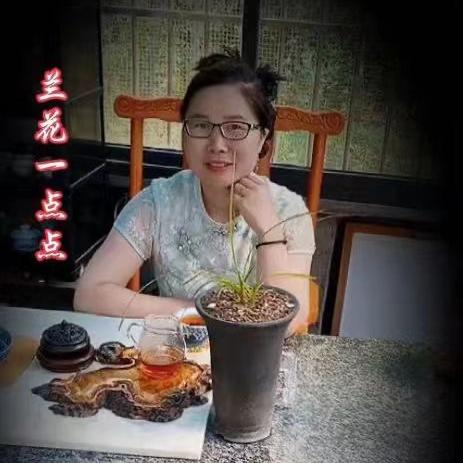 兰花一点点（曾都区七里香兰苑）