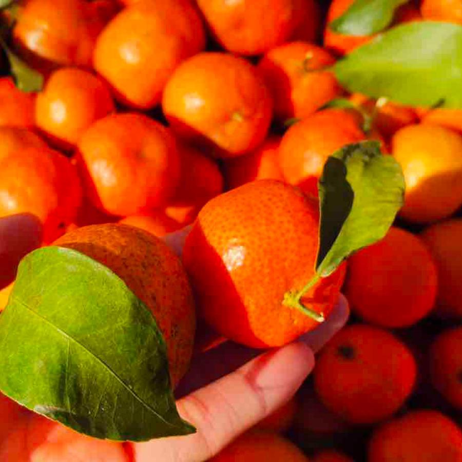 一堆果精品水果