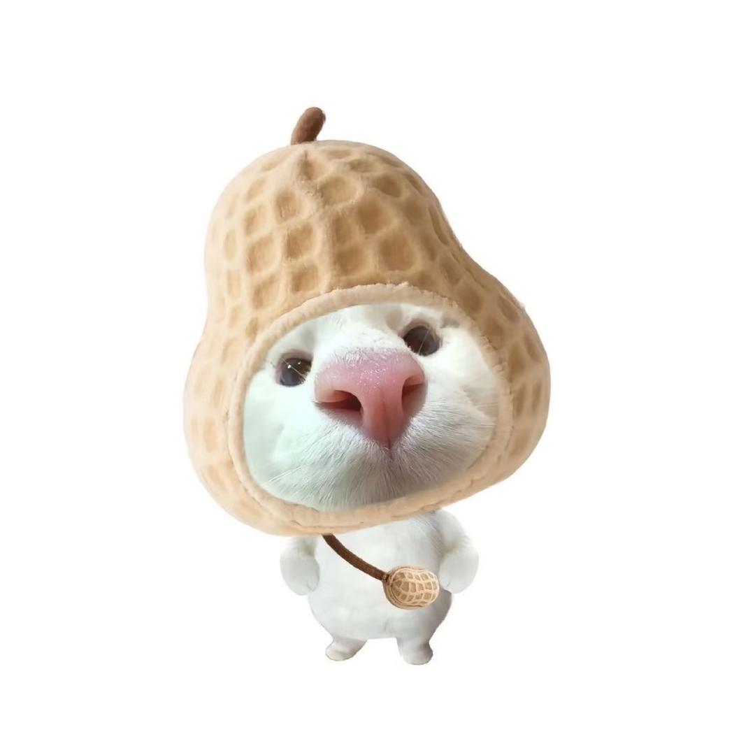 拉屎小天后