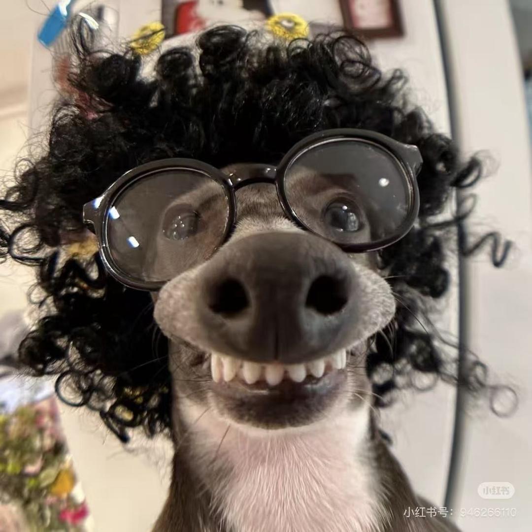 菲菲• 𝓓𝓛